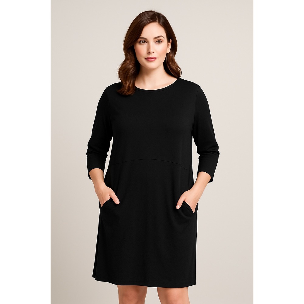 Eileen Fisher Jewel Neck Seam Detail Shift Dress Black Minimalist‎ Luxury Large
